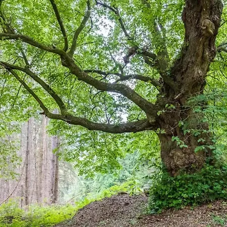 Apartmán Mit Garten Auf Dem Bauernhof, Cleaning Included *